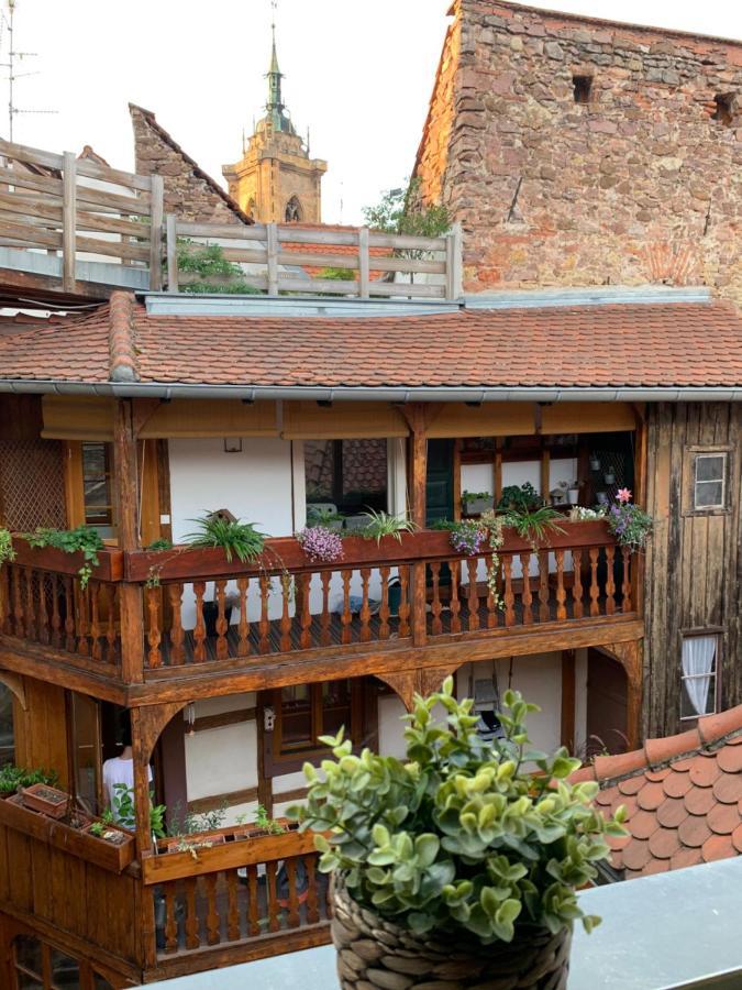 Coquet Studio Colmar Centre Zewnętrze zdjęcie